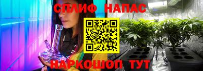гашик Заводоуковск