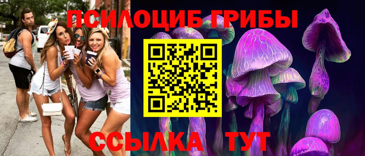 Псилоцибиновые грибы Magic Shrooms Благовещенск
