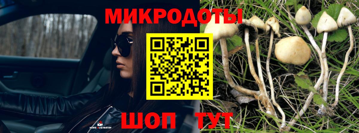 Галлюциногенные грибы MAGIC MUSHROOMS  Вход с VPN  Благовещенск 